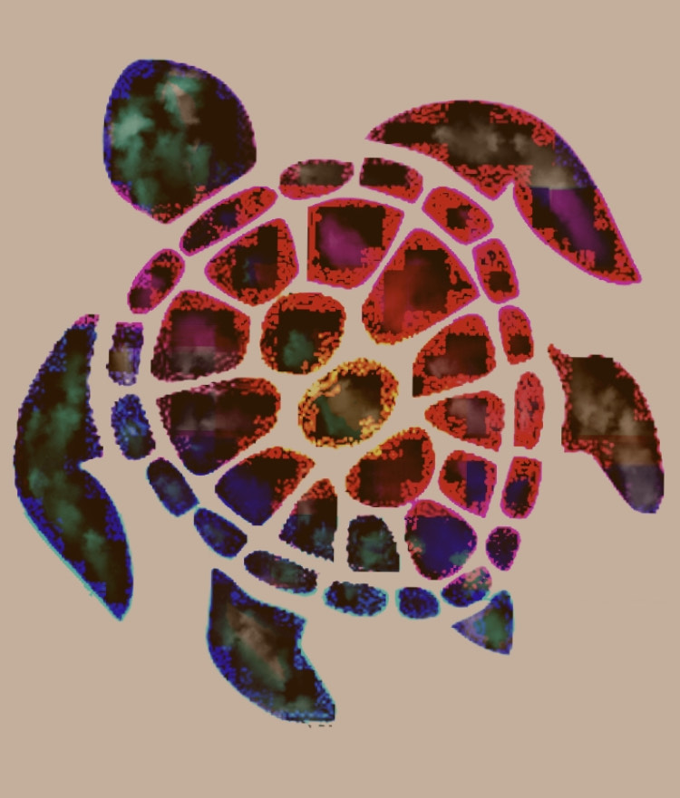 sepia and rainbow colored turtle by R.A.Myers